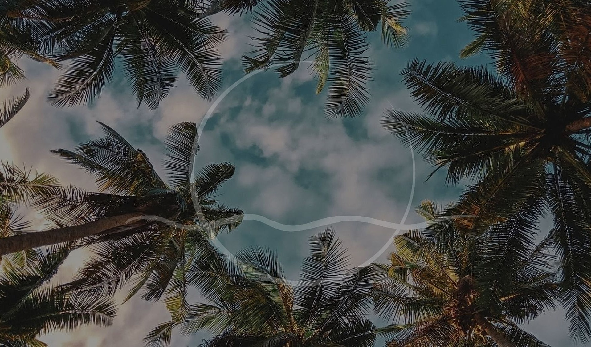 Framed view of palm trees against a cloudy sky.