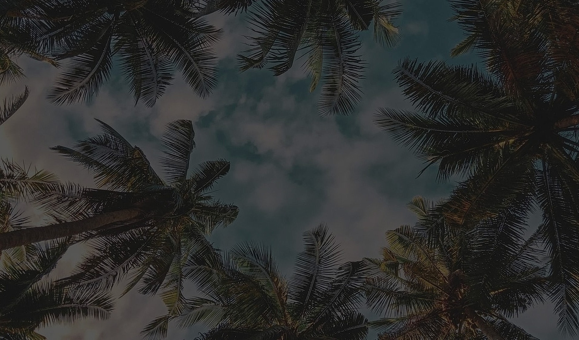 Palm trees framing a cloudy sky view.